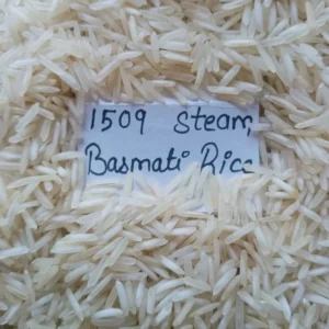 1509 Basmati Steam Rice