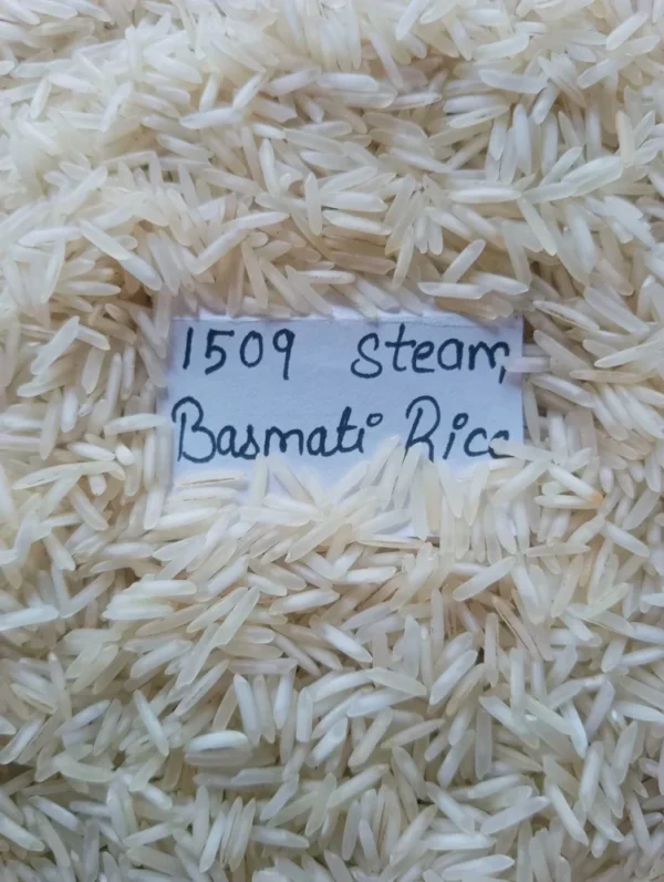 1509 Basmati Steam Rice