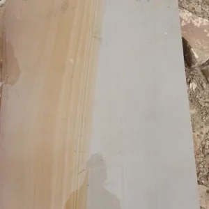 Kandla Grey & brown Sandstone